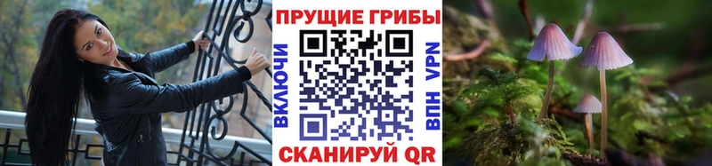 купить Аша Галлюциногенные грибы GOLDEN TEACHER